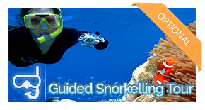 guided-activity-snorkel