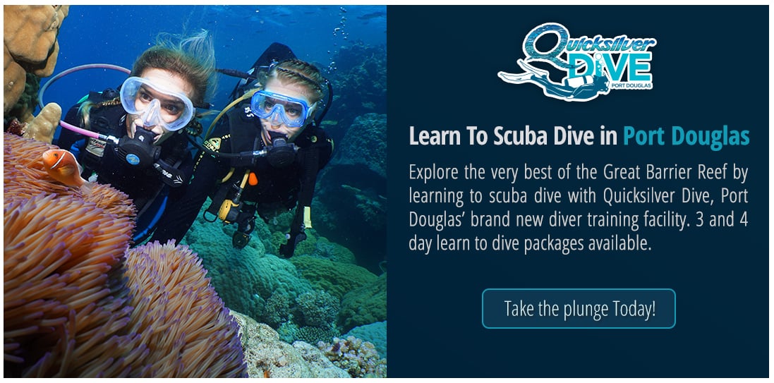 Quicksilver Dive Port Douglas - brand new diver training facility