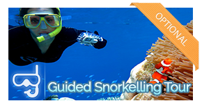 Guided snorkel tour