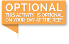 Optional extra activity