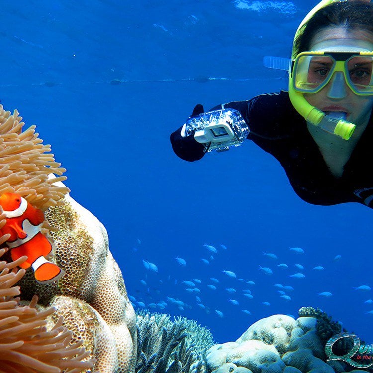 Snorkelling on the Great Barrier Reef Port Douglas Quicksilver Cruises