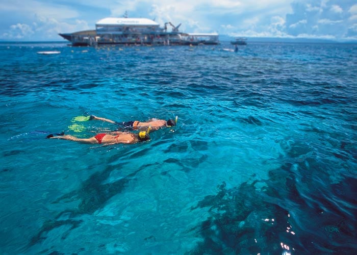 Snorkelling on the Great Barrier Reef