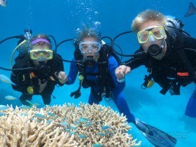 great barrier reef diving quicksilver