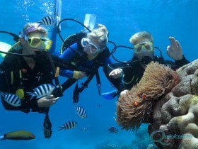 Great barrier reef intro diving