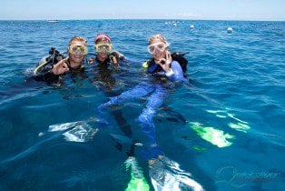 scuba diving great barrier reef