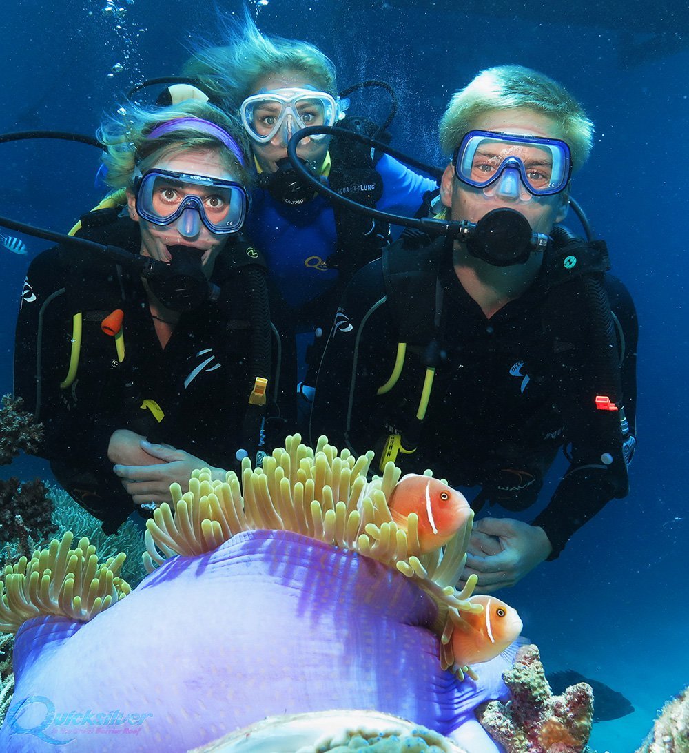 diving tour great barrier reef