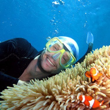 Nemo Clownfish great barrier reef snorkelling