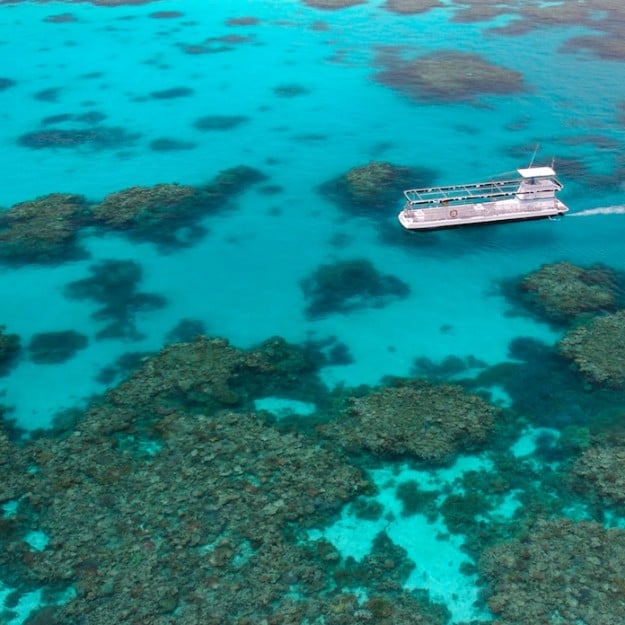Quicksilver Cruises Semi-sub Great Barrier Reef