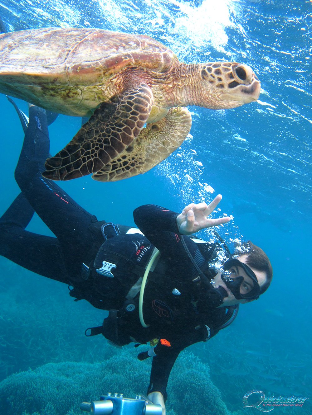 Dive! Dive! Dive! - Discover Scuba Diving on the Costa Blanca