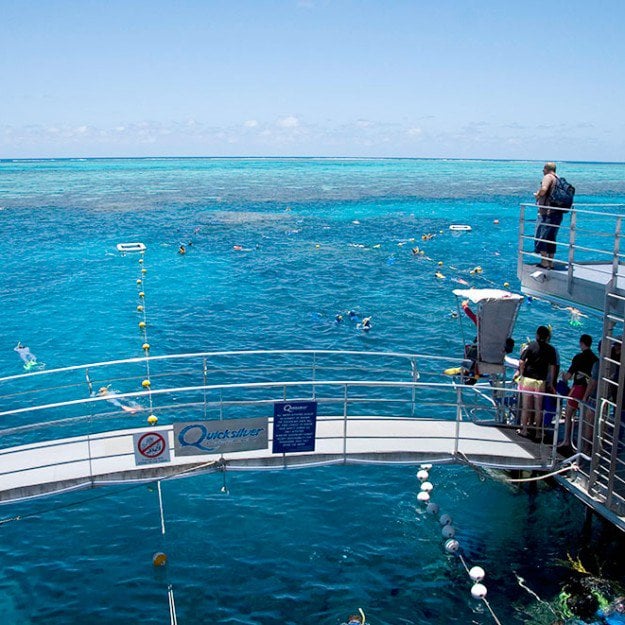 overlooking the snorkel area